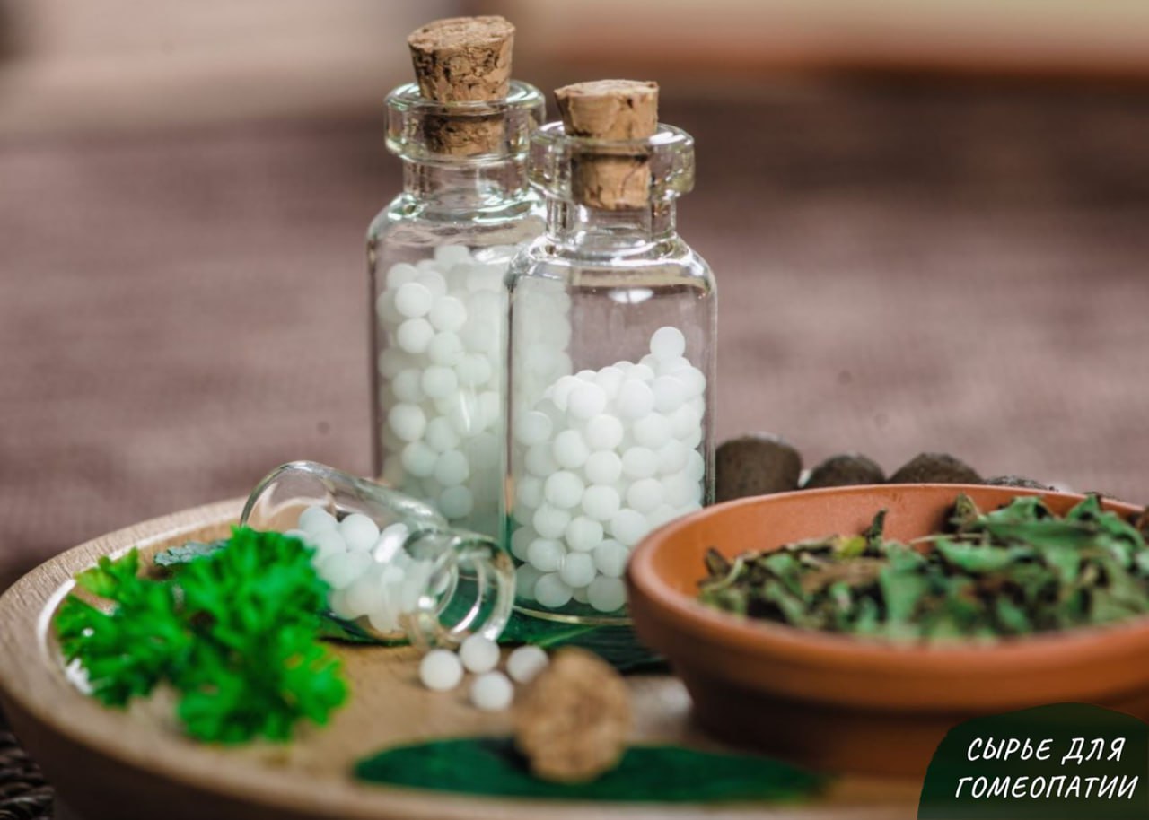 СЫРЬЕ ДЛЯ ГОМЕОПАТИИ: КОККУЛЮС СЫРЬЕ ДЛЯ ГОМЕОПАТИИ: КОККУЛЮС