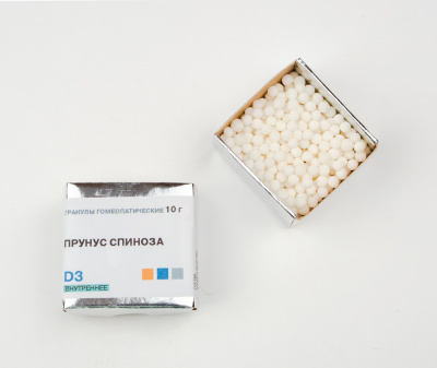 Прунус (Prunus spinosa) Фитасинтекс