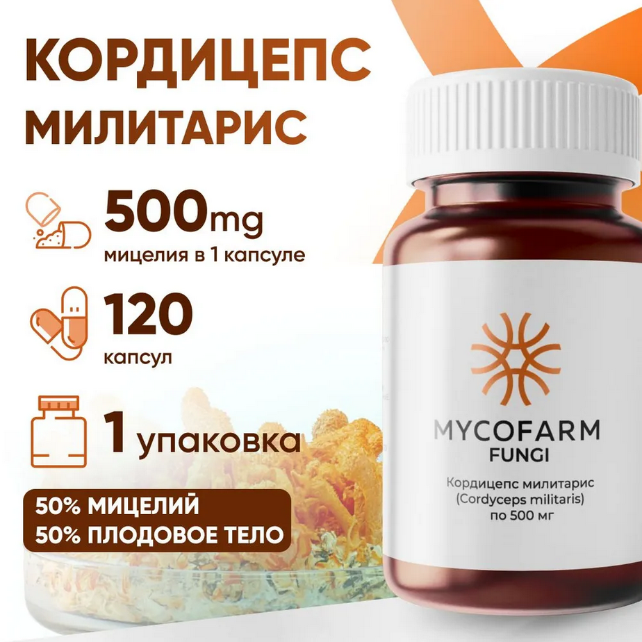 КОРДИЦЕПС МИЛИТАРИС КОРДИЦЕПС МИЛИТАРИС