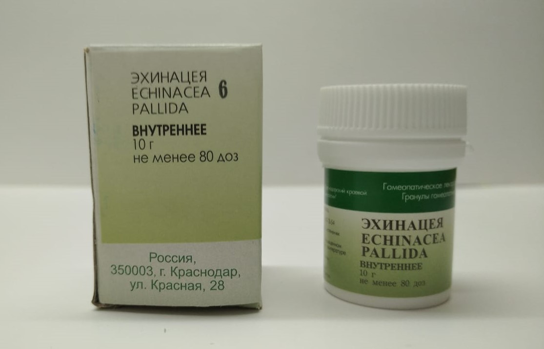 Эхинацея с6 кр