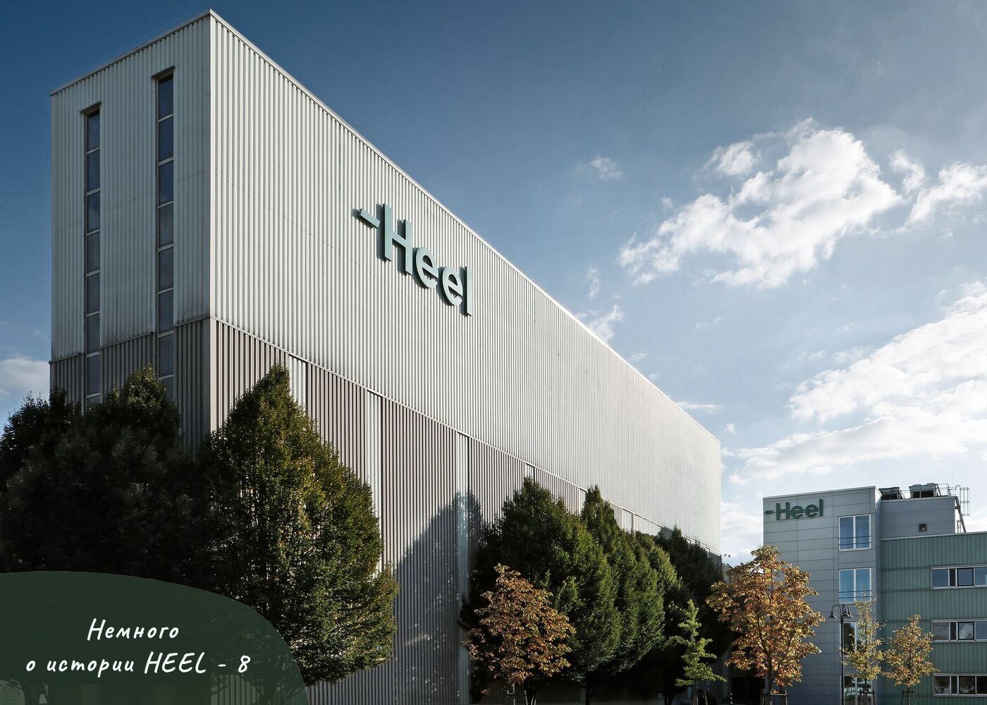 НЕМНОГО ОБ ИСТОРИИ HEEL - 8 ЧАСТЬ НЕМНОГО ОБ ИСТОРИИ HEEL - 8 ЧАСТЬ