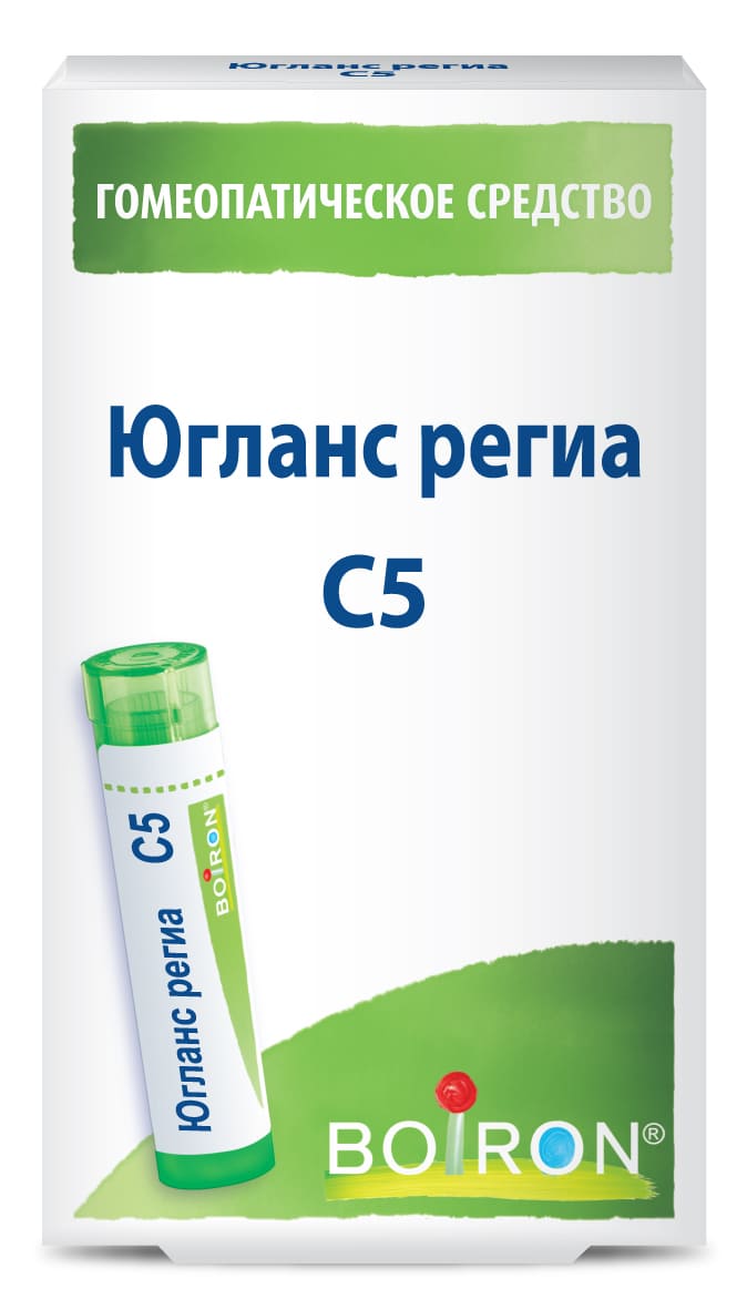 Югланс региа (Juglans regia) C5 Буарон