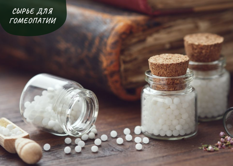 МЕРКУРИУС СОЛЮБИЛИС - СЫРЬЕ ДЛЯ ГОМЕОПАТИИ