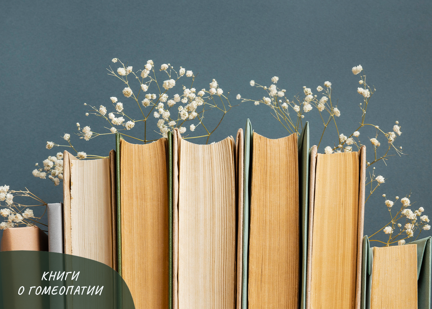 «ХРОНИЧЕСКИЕ ЗАБОЛЕВАНИЯ» «ХРОНИЧЕСКИЕ ЗАБОЛЕВАНИЯ»