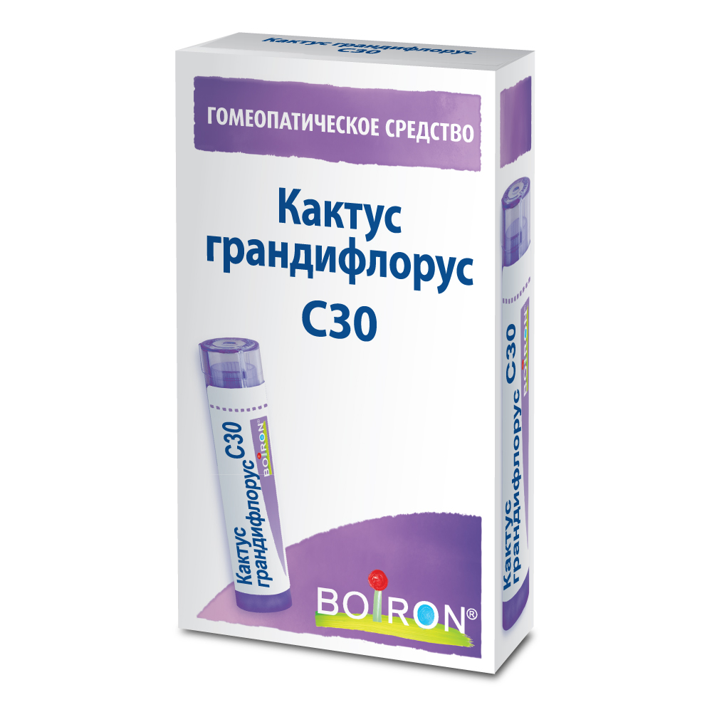 Кактус грандифлорус (Cactus grandiflorus) C30 Буарон