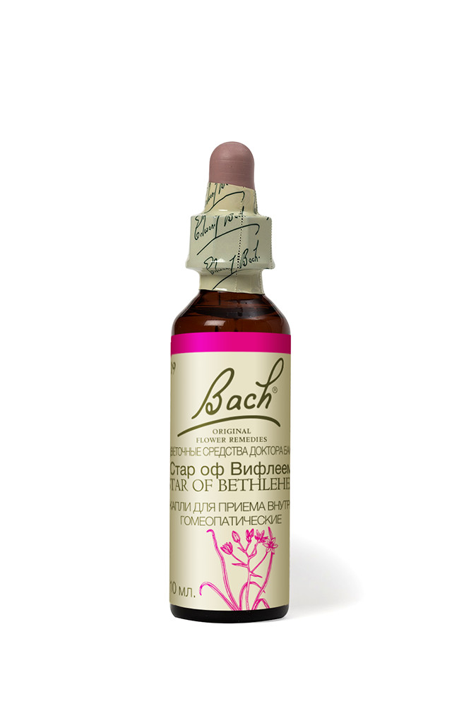 29.Стар оф Вифлеем (Птицемлечник) Цветы Баха