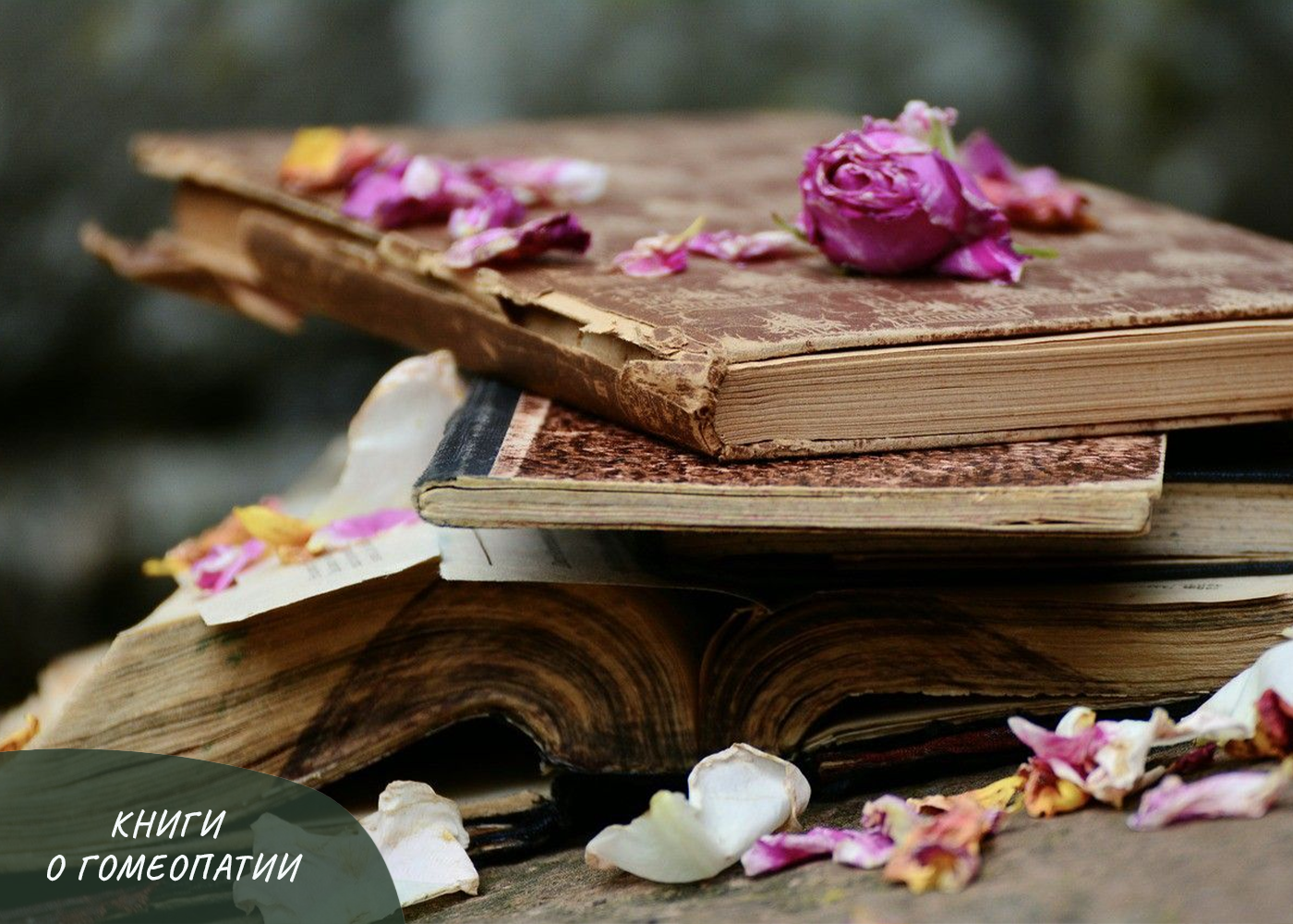 «ОРГАНОН ВРАЧЕБНОГО ИСКУССТВА» САМУЭЛЯ ГАНЕМАНА «ОРГАНОН ВРАЧЕБНОГО ИСКУССТВА» САМУЭЛЯ ГАНЕМАНА