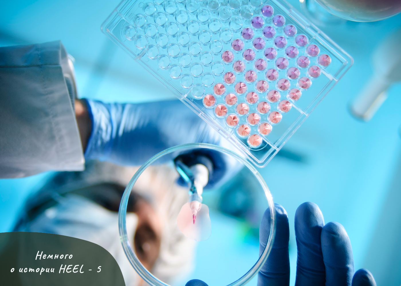 НЕМНОГО ОБ ИСТОРИИ HEEL - 5 ЧАСТЬ НЕМНОГО ОБ ИСТОРИИ HEEL - 5 ЧАСТЬ