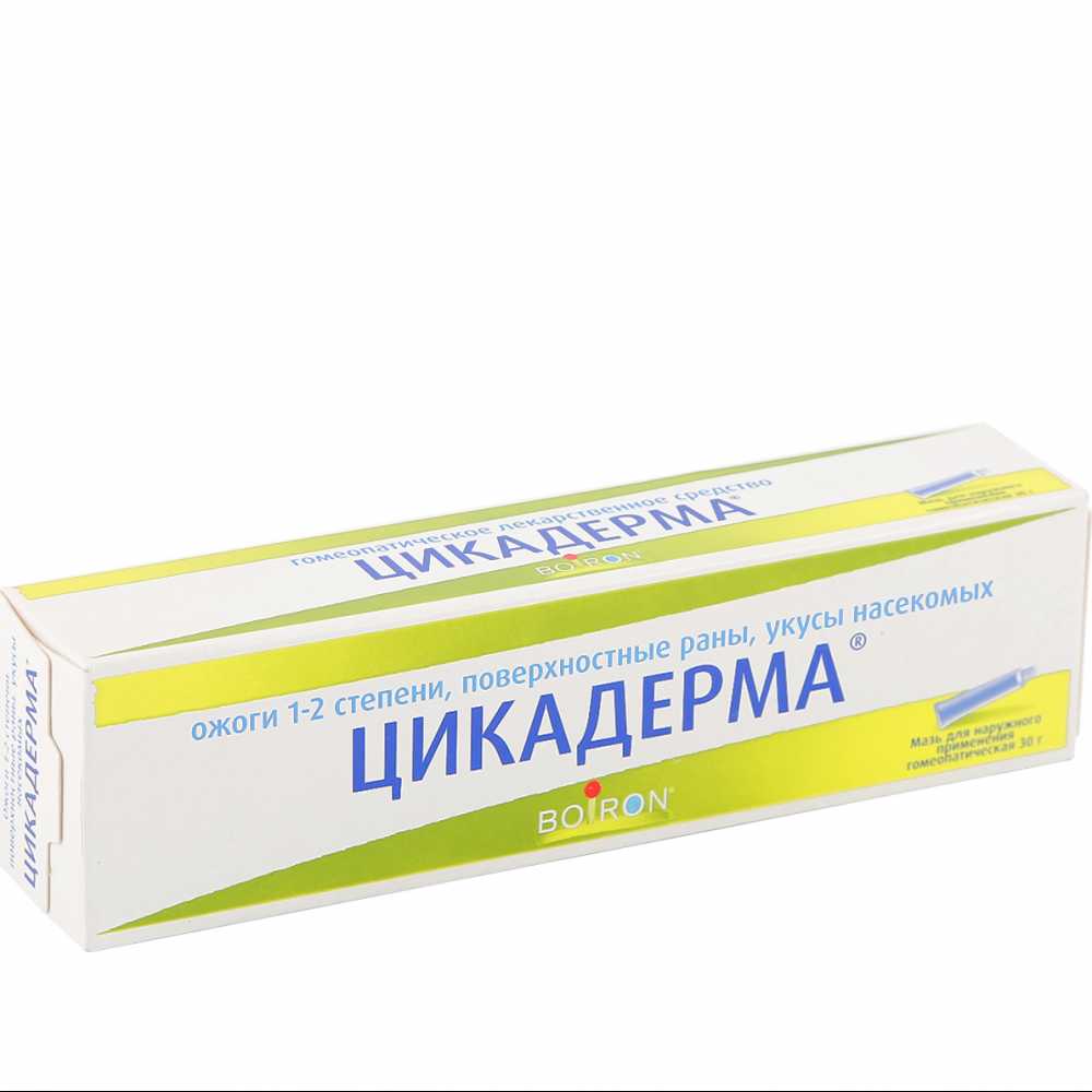 Цикадерма Буарон