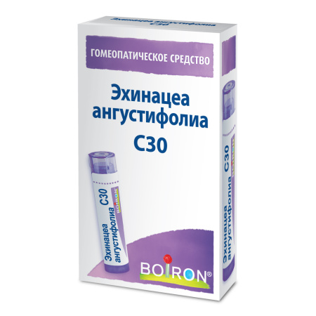 Картинка эхинацеа ангустифолиа (echinacea angustifolia) с30 буарон от интернет-аптеки mosgomeopat.ru