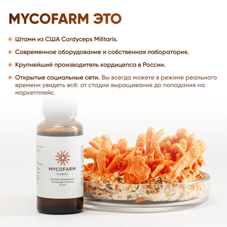 Картинка кордицепс милитарис (cordyceps militaris) экстракт 30 мл микофарм от интернет-аптеки mosgomeopat.ru