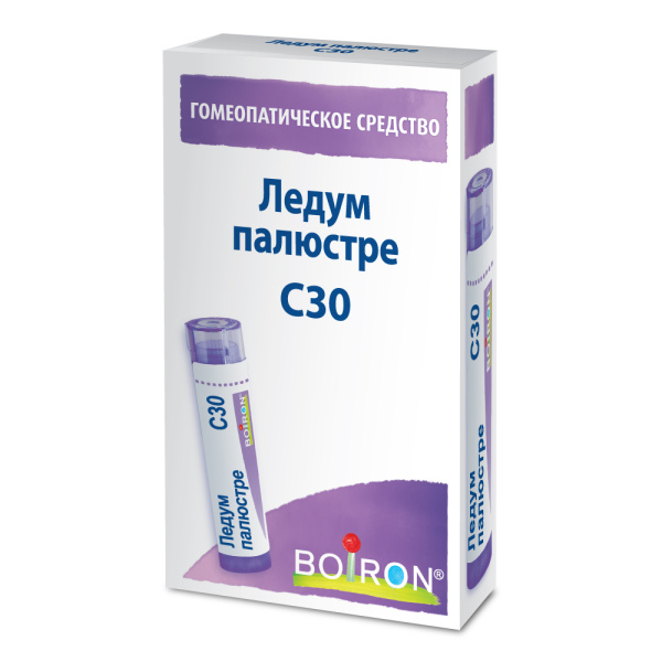 Ледум палюстре (Ledum palustre) C30 Буарон