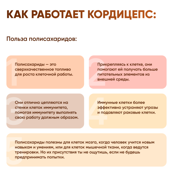 Картинка кордицепс милитарис (cordyceps militaris) в капсулах микофарм от интернет-аптеки mosgomeopat.ru