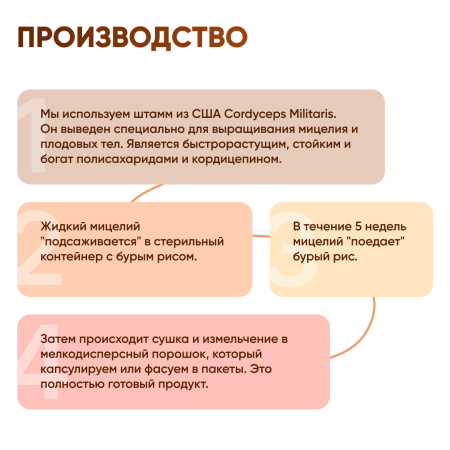 Картинка кордицепс милитарис (cordyceps militaris) в капсулах микофарм от интернет-аптеки mosgomeopat.ru