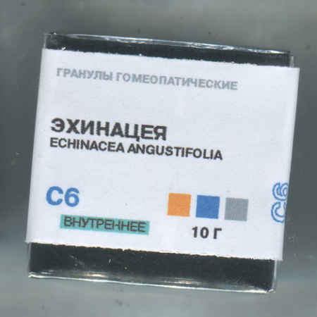 Картинка эхинацея фитасинтекс echinacea   от интернет-аптеки mosgomeopat.ru