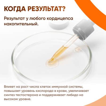 Картинка кордицепс милитарис (cordyceps militaris) экстракт 30 мл микофарм от интернет-аптеки mosgomeopat.ru