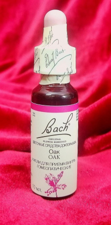 Картинка 22.оак (дуб) цветы баха от интернет-аптеки mosgomeopat.ru