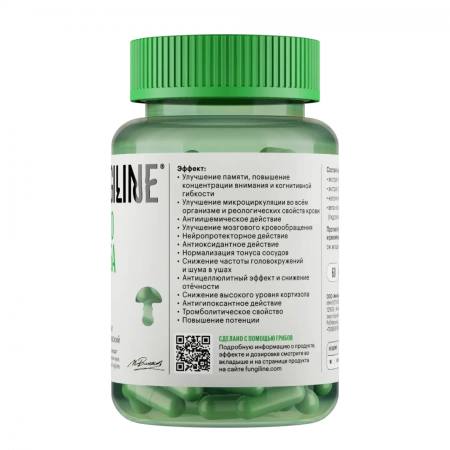 Картинка гинкго билоба фангилайн от интернет-аптеки mosgomeopat.ru