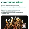 Картинка рейши (ganoderma multipileum) в капсулах микофарм от интернет-аптеки mosgomeopat.ru