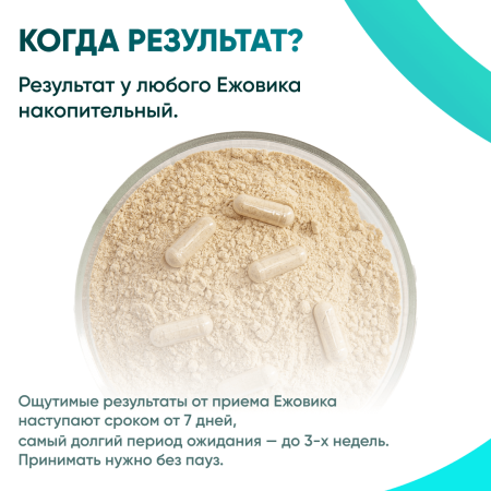 Картинка ежовик гребенчатый (hericium erinaceus) в капсулах микофарм от интернет-аптеки mosgomeopat.ru