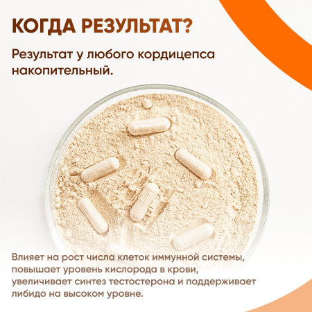 Картинка кордицепс милитарис (cordyceps militaris) в капсулах микофарм от интернет-аптеки mosgomeopat.ru