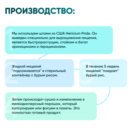 Картинка ежовик гребенчатый (hericium erinaceus) в капсулах микофарм от интернет-аптеки mosgomeopat.ru