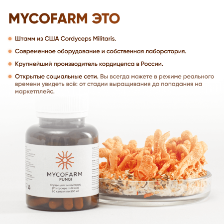 Картинка кордицепс милитарис (cordyceps militaris) в капсулах микофарм от интернет-аптеки mosgomeopat.ru