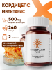 Кордицепс милитарис (Cordyceps militaris) 240 капсул Миикофарм