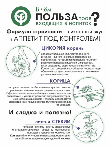 Картинка цикорий и корица со сладкой и полезной стевией. натуральный быстрорастворимый напиток на основе экстрактов лекарственных трав от интернет-аптеки mosgomeopat.ru