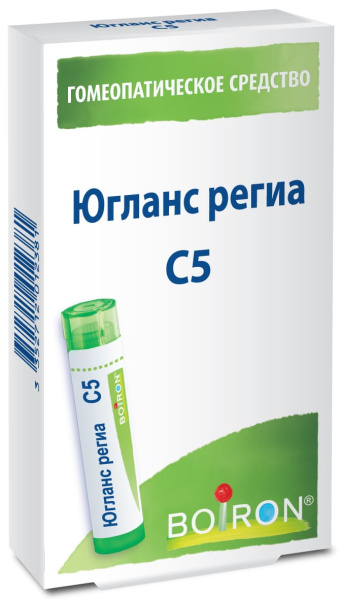 Картинка югланс региа (juglans regia) c5 буарон от интернет-аптеки mosgomeopat.ru