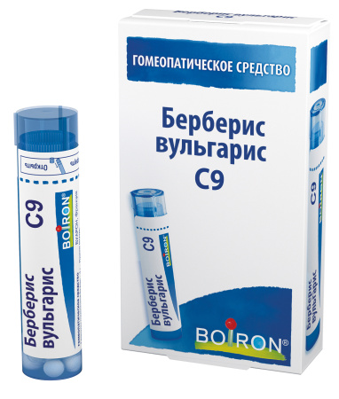 Картинка берберис вульгарис с9 буарон от интернет-аптеки mosgomeopat.ru