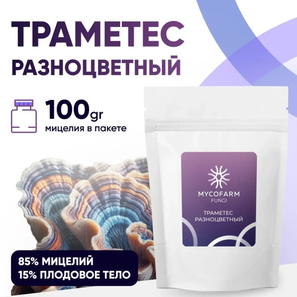 Траметес разноцветный (Trametes versicolor) в порошке Микофарм