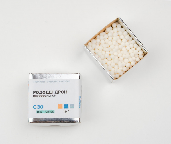 Рододендрон (Rhododendron) Фитасинтекс