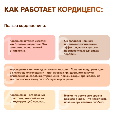 Картинка кордицепс милитарис (cordyceps militaris) в порошке микофарм от интернет-аптеки mosgomeopat.ru