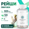 Рейши (Ganoderma multipileum) 120 капсул Микофарм
