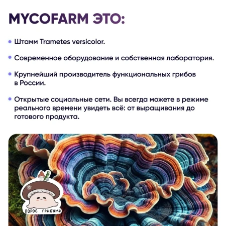 Картинка траметес разноцветный (trametes versicolor) в капсулах микофарм от интернет-аптеки mosgomeopat.ru