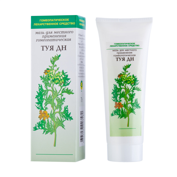 Туя ДН мазь для местного применения гомеопатическая 70 г