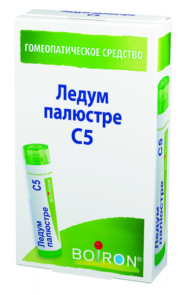 Ледум палюстре C5 Буарон