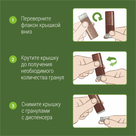 Картинка спонгия (spongia) гомеофарм от интернет-аптеки mosgomeopat.ru