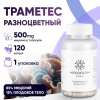 Траметес разноцветный (Trametes versicolor) 120 капсул Микофарм