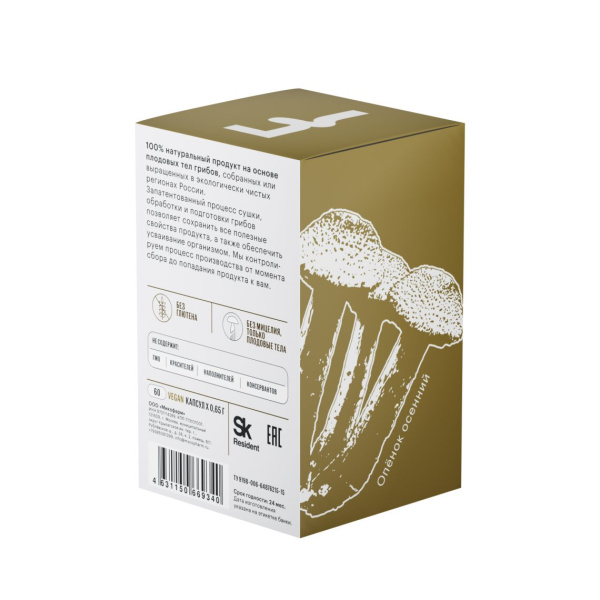 Картинка осенний опенок фангилайн от интернет-аптеки mosgomeopat.ru