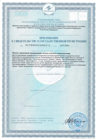 Картинка академик-лопух от интернет-аптеки mosgomeopat.ru