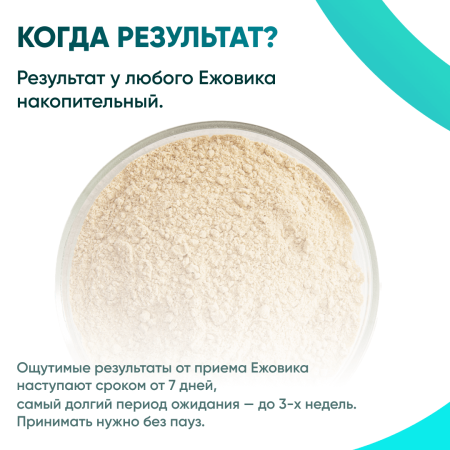 Картинка ежовик гребенчатый (hericium erinaceus) в порошке микофарм от интернет-аптеки mosgomeopat.ru