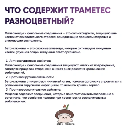 Картинка траметес разноцветный (trametes versicolor) в капсулах микофарм от интернет-аптеки mosgomeopat.ru