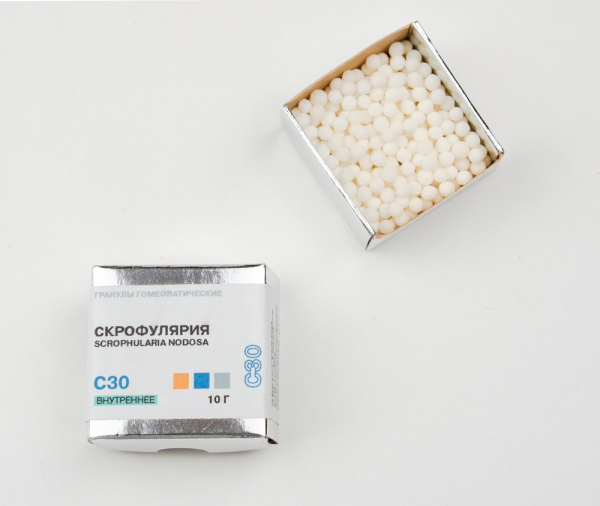 Скрофулярия (Scrophularia nodosa) Фитасинтекс