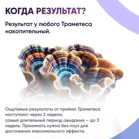 Траметес разноцветный (Trametes versicolor) в порошке Микофарм от интернет-аптеки mosgomeopat.ru Картинка траметес разноцветный (trametes versicolor) в порошке микофарм от интернет-аптеки mosgomeopat.ru