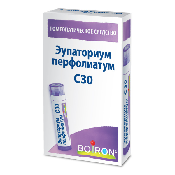 Эупаториум перфолиатум (Eupatorium perfoliatum) C30 Буарон