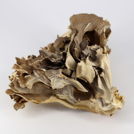 Картинка мухоморный микродозинг™ darkmicro™ фангилайн от интернет-аптеки mosgomeopat.ru