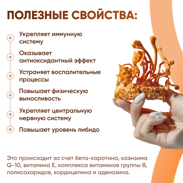 Картинка кордицепс милитарис (cordyceps militaris) в капсулах микофарм от интернет-аптеки mosgomeopat.ru