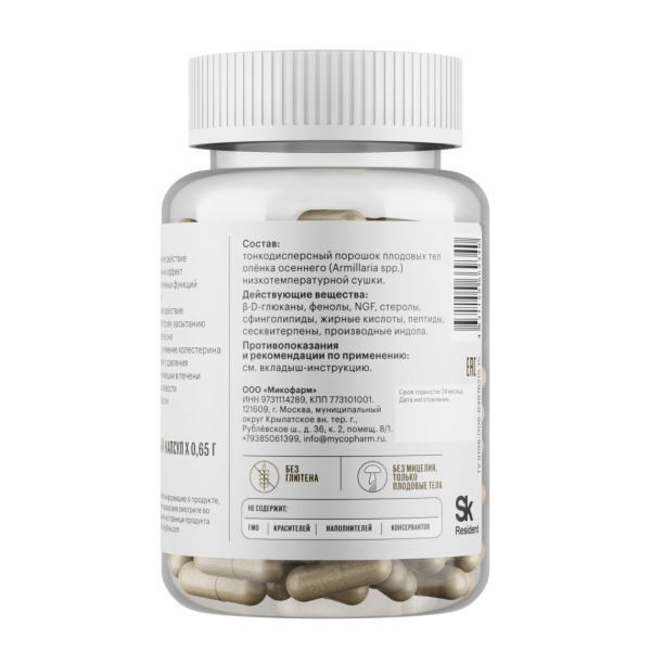 Картинка осенний опенок фангилайн от интернет-аптеки mosgomeopat.ru